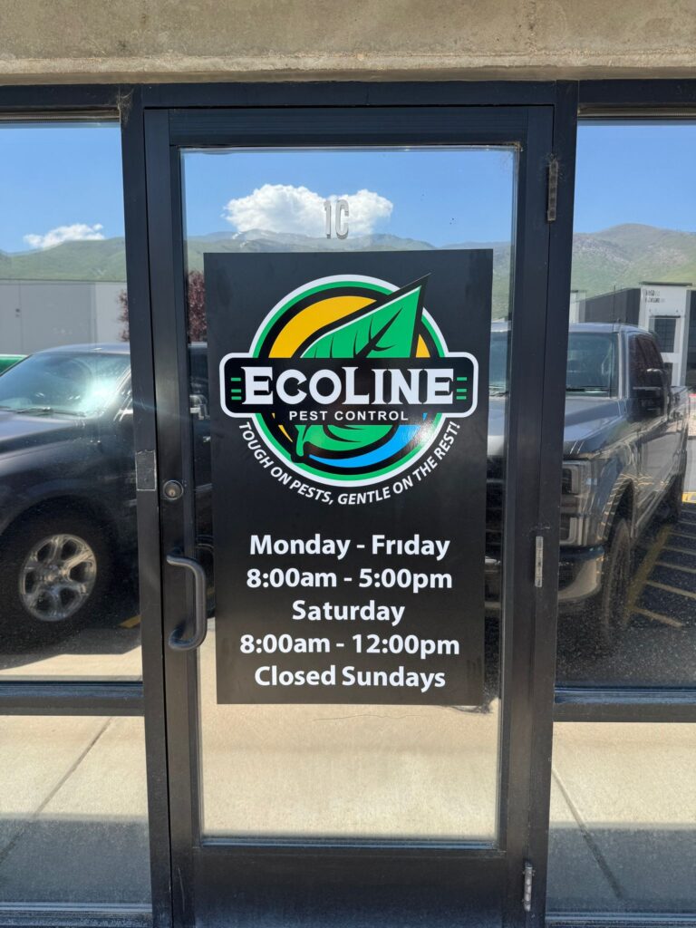 ecoline-office