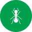 ant-icon