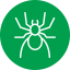 spider-icon